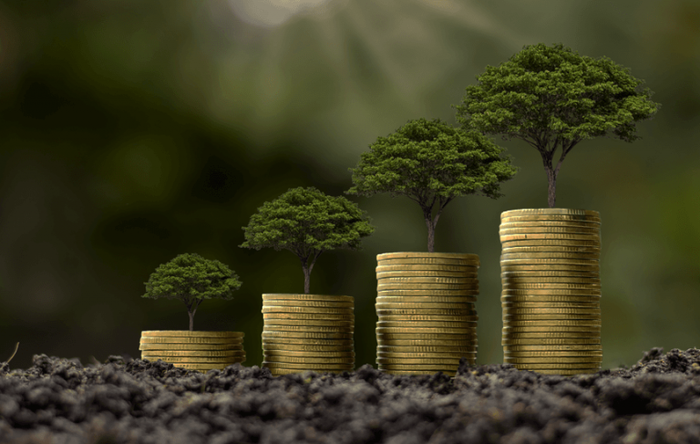 Laying the foundations for a net zero financial system - finance21
